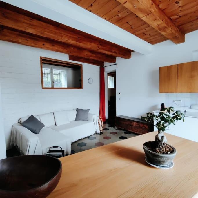 Casasassi Apartment ตูริน ภายนอก รูปภาพ